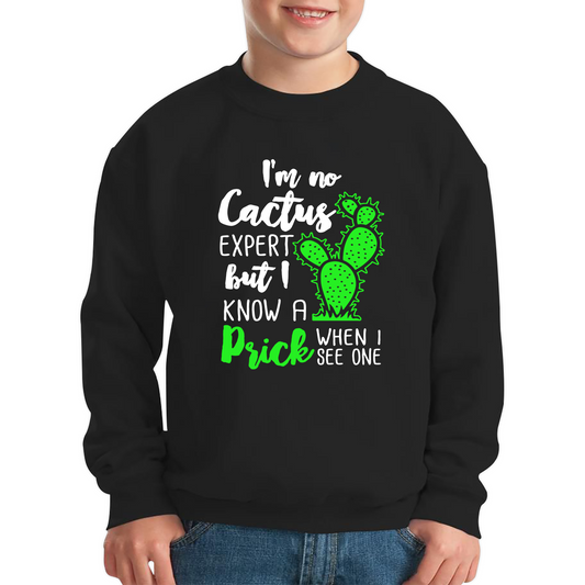 I'm No Cactus Expert But I Know A Prick When I See One Sweatshirt