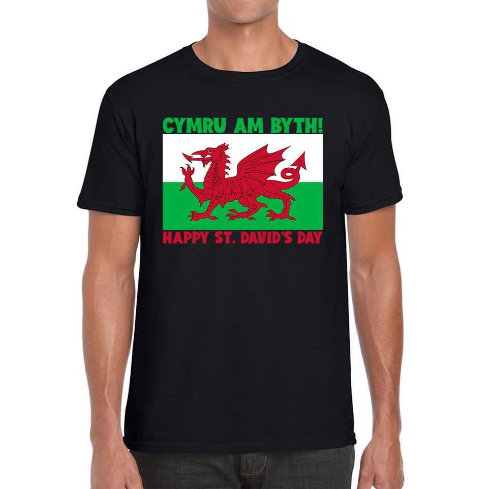 St Davids Day T Shirts UK
