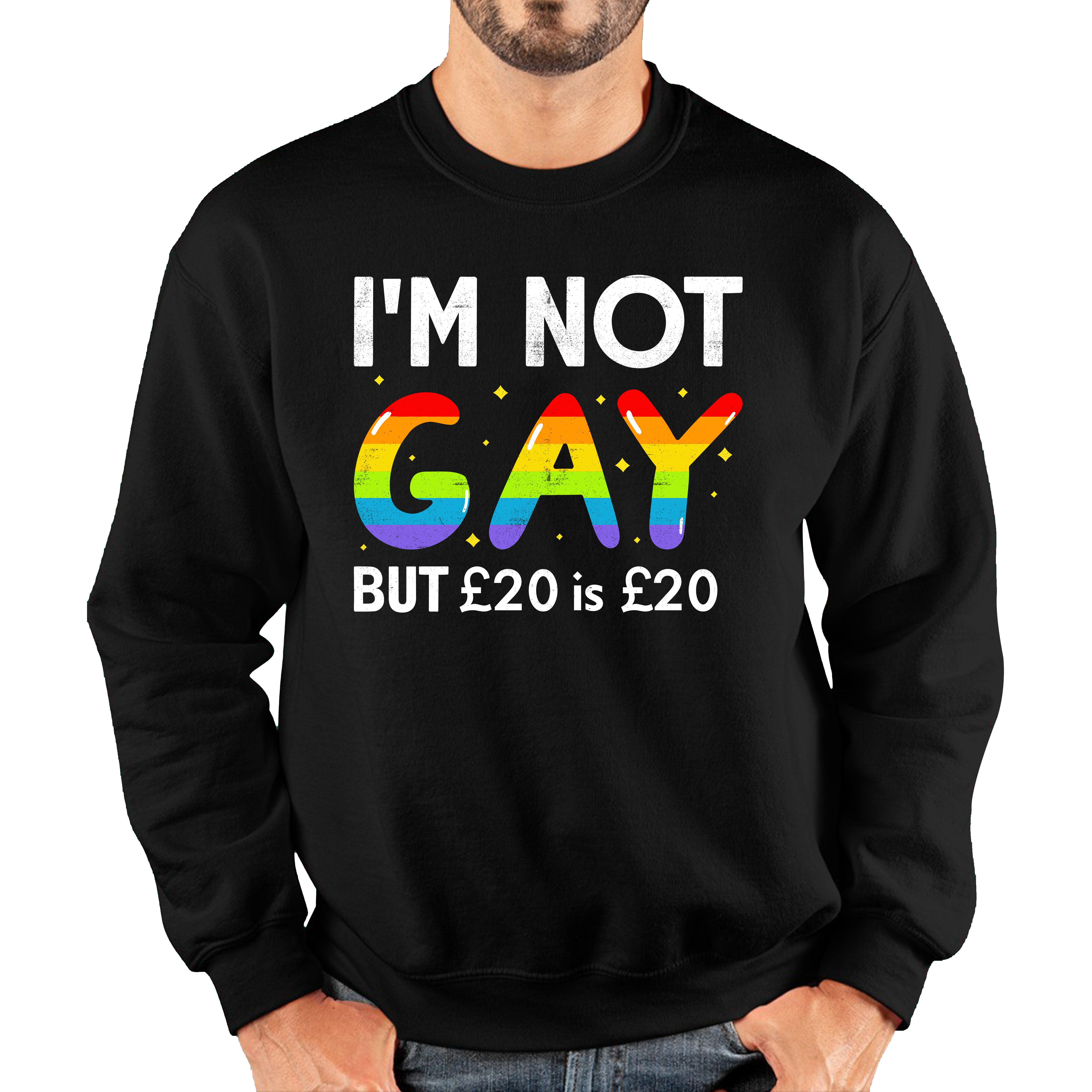 I'm Not Gay But 20 Pounds Is 20 Pounds Jumper Funny LGBT Gay Pride Joke Adult Sweatshirt