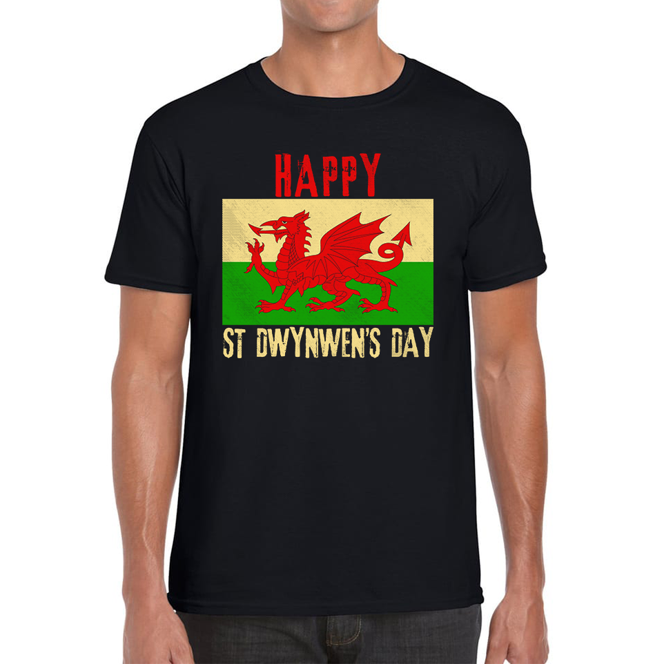 Happy St Dwynwen's Day Dydd Santes Dwynwen Saint Dwynwen Day Saint Of Lovers Mens Tee Top