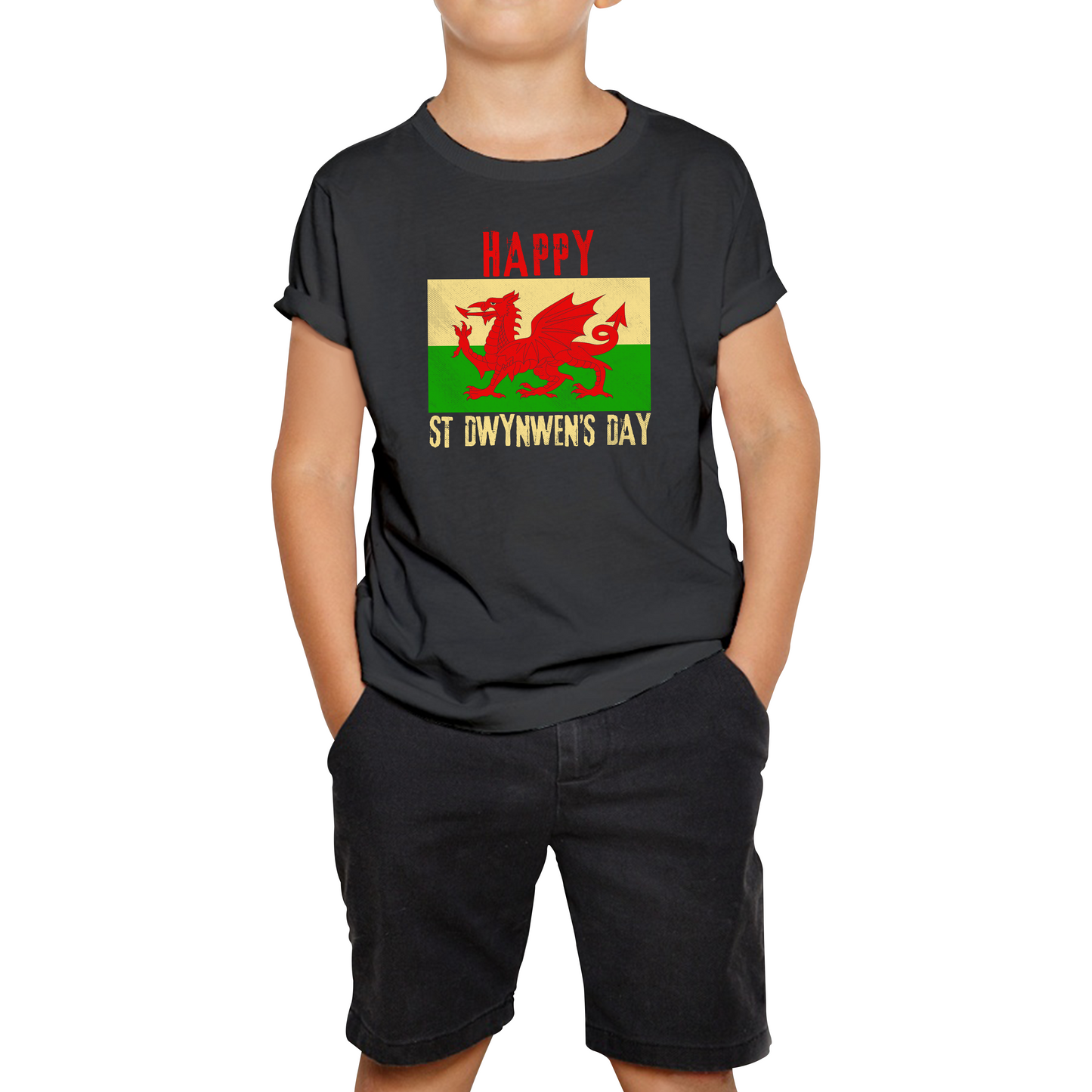 Happy St Dwynwen's Day Dydd Santes Dwynwen Saint Dwynwen Day Saint Of Lovers Kids Tee