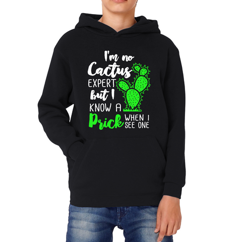 I'm No Cactus Expert But I Know A Prick When I See One Kids Hoodie