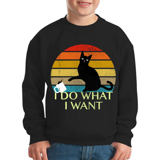 Black Cat I Do What I Want Vintage Sweatshirt
