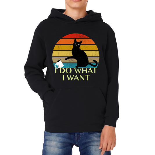 Black Cat I Do What I Want Vintage Hoodie