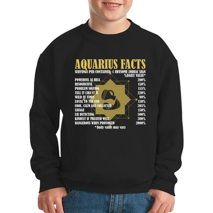 Aquarius Facts Horoscope Zodiac Astrological Sign Astrology Signs Birthday Present Kids Jumper