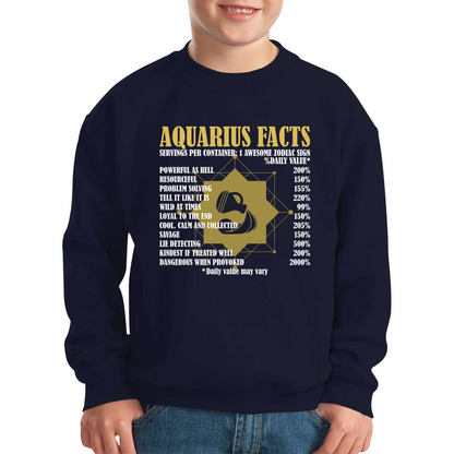 Aquarius Facts Horoscope Zodiac Astrological Sign Astrology Signs Birthday Present Kids Jumper