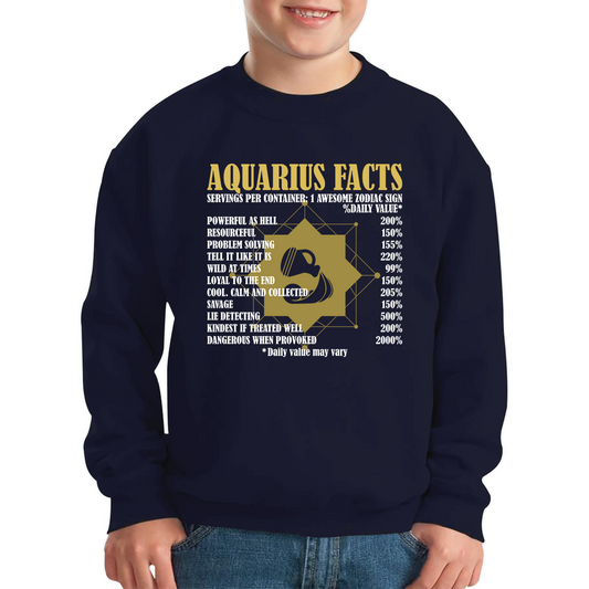 Aquarius Facts Horoscope Zodiac Astrological Sign Astrology Signs Birthday Present Kids Jumper