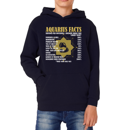 Aquarius Facts Horoscope Zodiac Astrological Sign Astrology Signs Birthday Present Kids Hoodie