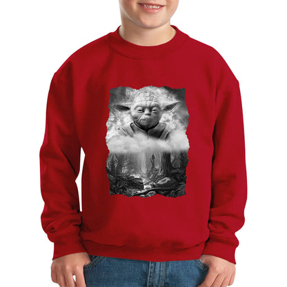 Anger Fear Aggression The Dark Side Are They Vintage Poster Graphic Movie Series Kids Jumper