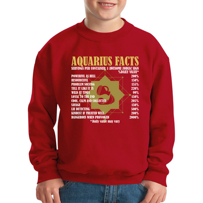 Aquarius Facts Horoscope Zodiac Astrological Sign Astrology Signs Birthday Present Kids Jumper