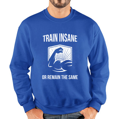 Train Insane Or Remain The Same Bodybuilders Gym Motivational Workout Muscular Bodybuilder Unisex Sweatshirt