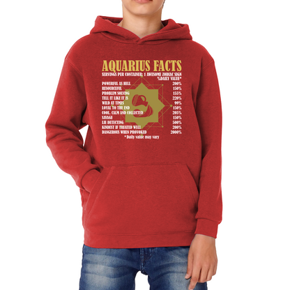 Aquarius Facts Horoscope Zodiac Astrological Sign Astrology Signs Birthday Present Kids Hoodie