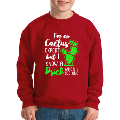 I'm No Cactus Expert But I Know A Prick When I See One Kids Sweatshirt
