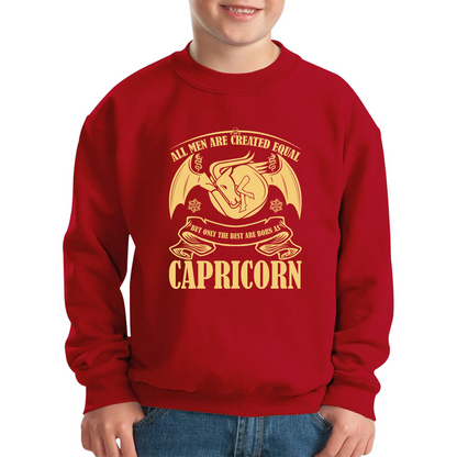 All Men Are Created Equal But Only The Best Are Born As Capricorn Horoscope Astrological Zodiac Sign Birthday Present Kids Jumper