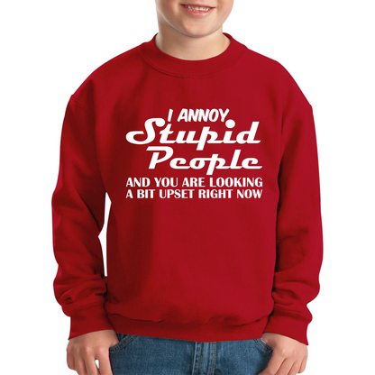 I Annoy Stupid People And You Are Looking A Bit Upset Right Now Funny Sarcasm Humor Prank Kids Jumper