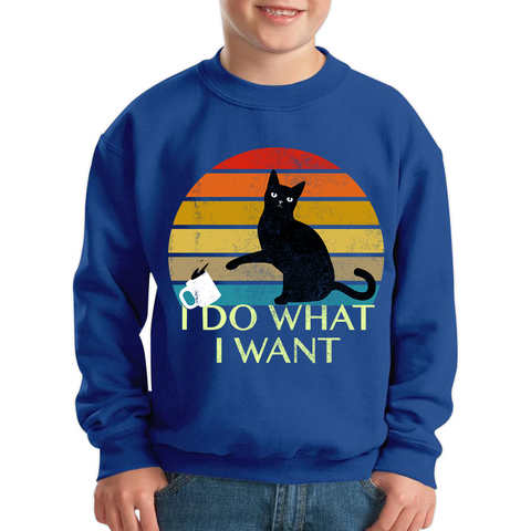 Black Cat I Do What I Want Vintage Kids Sweatshirt