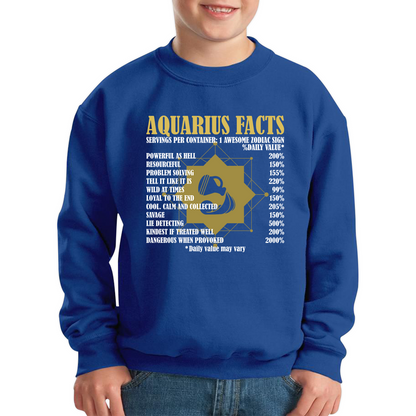 Aquarius Facts Horoscope Zodiac Astrological Sign Astrology Signs Birthday Present Kids Jumper