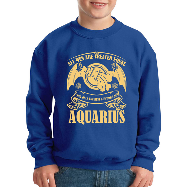 All Men Are Created Equal But Only The Best Are Born As Aquarius Horoscope Astrological Zodiac Sign Birthday Present Kids Jumper