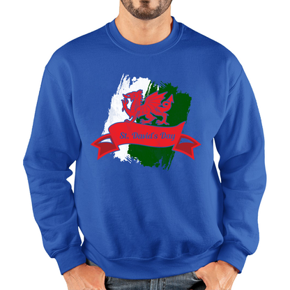 St Davids Day Jumper