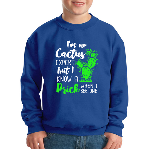I'm No Cactus Expert But I Know A Prick When I See One Kids Sweatshirt