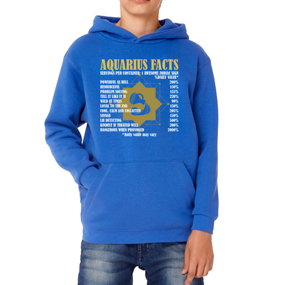 Aquarius Facts Horoscope Zodiac Astrological Sign Astrology Signs Birthday Present Kids Hoodie