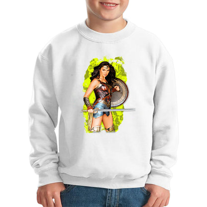 Gal Gadot Wonder Woman Shield Comic Book Character Wonder Girl Superhero Kids Jumper