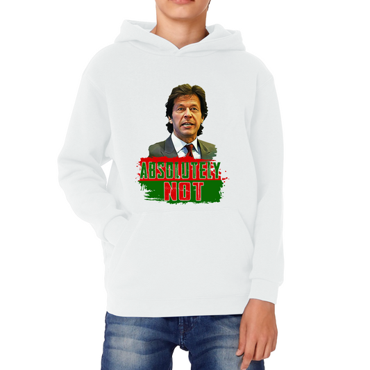 Mr. Imran Khan Absolutely Not Hoodie