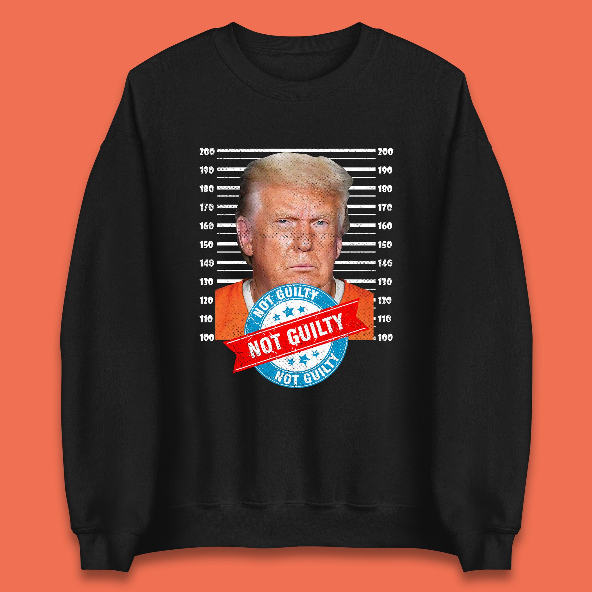 Donald Trump Not Guilty Jumper