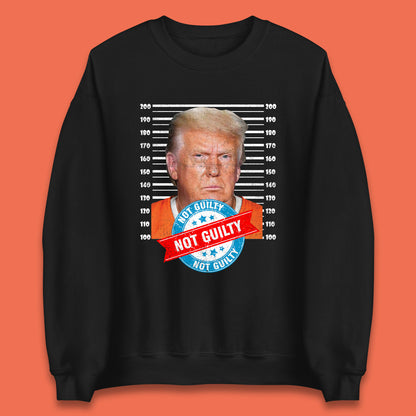 Donald Trump Not Guilty Jumper