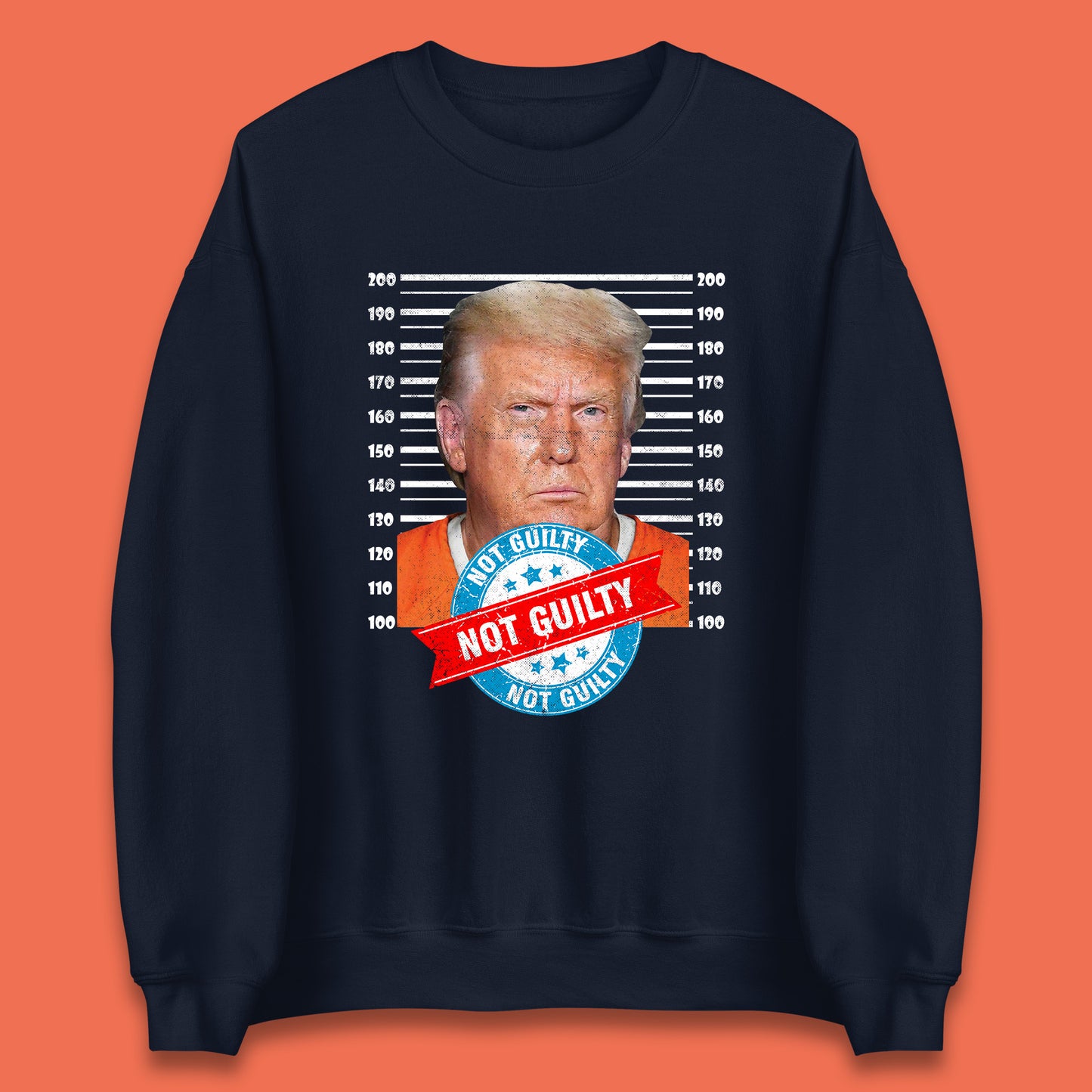 Donald Trump Not Guilty Jumper