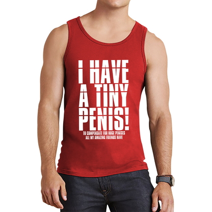 I Have A Tiny Penis To Compensate For Huge Penises Funny Rude Offensive Bachelor Party Tank Top