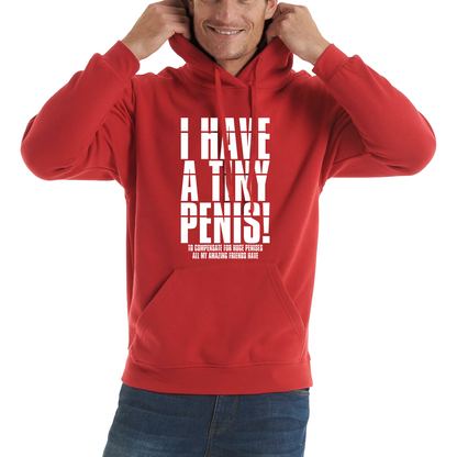 I Have A Tiny Penis To Compensate For Huge Penises Funny Rude Offensive Bachelor Party Unisex Hoodie
