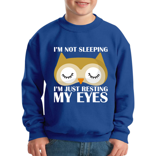 I'm Not Sleeping I'm Just Resting My Eyes Owl Funny Owl Napping Joke Kids Jumper